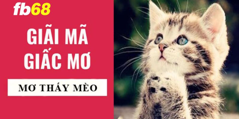 Giải mã giấc mơ về động vật khi mơ thấy mèo
