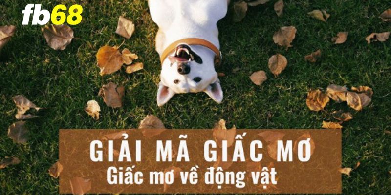 Giải Mã Giấc Mơ Về Động Vật